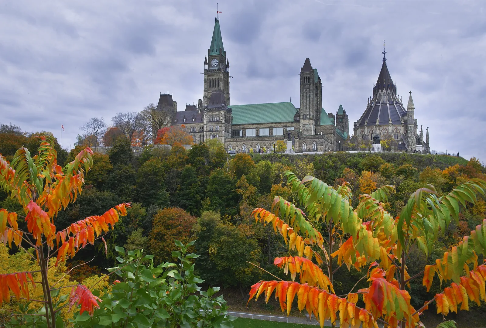 Canada's Parliament buildings and the Library dome on a wooded bluff, autumn sumac in the foreground under a grey sky