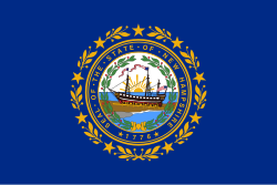 New Hampshire state flag