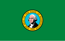 Washington state flag